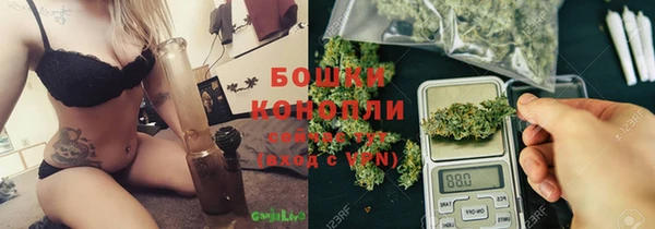 спиды Богданович