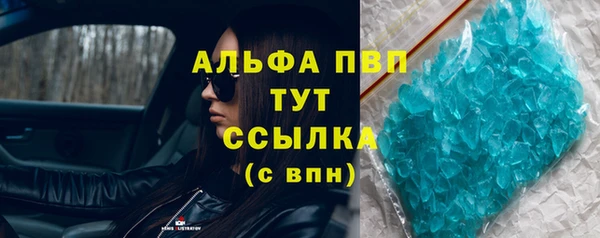 спиды Богданович