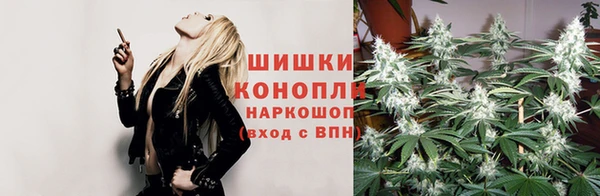 тгк Богородицк