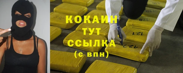 сатива Богородск