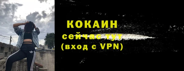 тгк Богородицк
