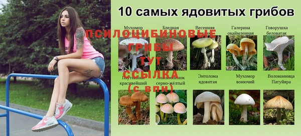 тгк Богородицк