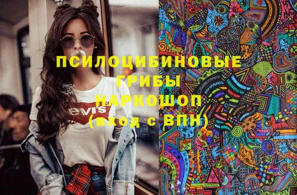 сатива Богородск