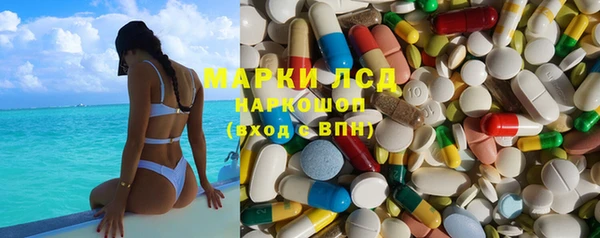 индика Беломорск