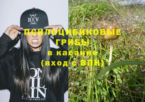 тгк Богородицк